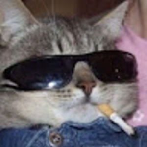 Meet your Posher, Ania